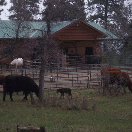 Elktrace Bed And Breakfast Pagosa Springs Extérieur photo