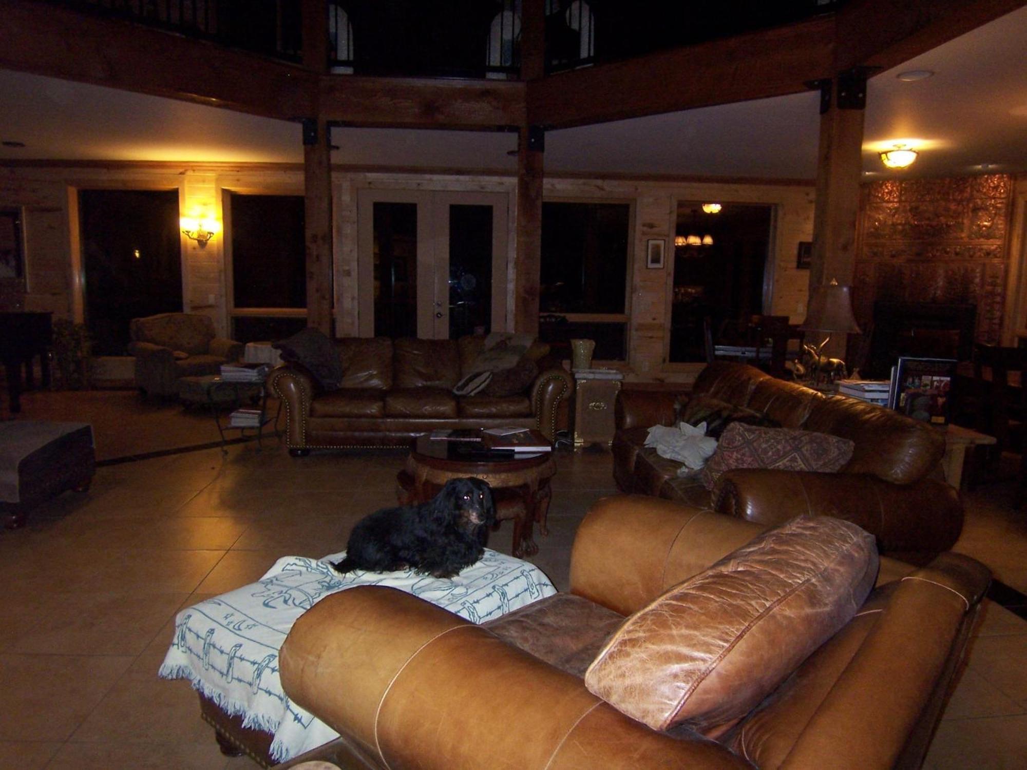 Elktrace Bed And Breakfast Pagosa Springs Extérieur photo