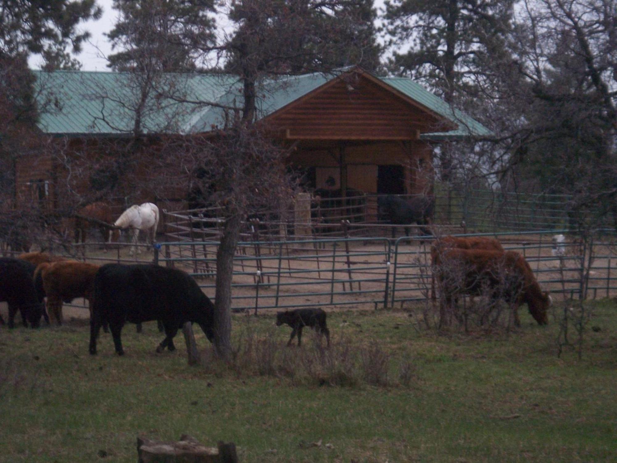 Elktrace Bed And Breakfast Pagosa Springs Extérieur photo
