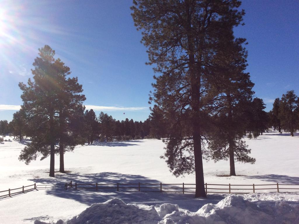 Elktrace Bed And Breakfast Pagosa Springs Extérieur photo