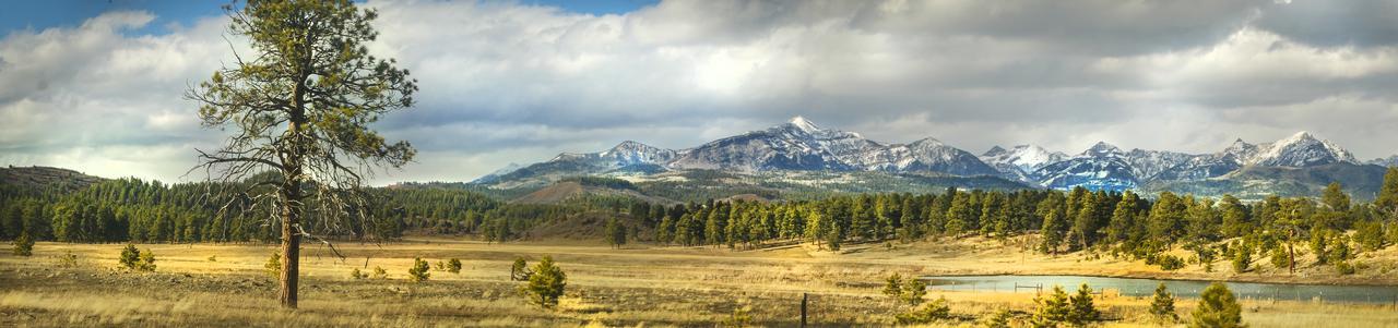 Elktrace Bed And Breakfast Pagosa Springs Extérieur photo